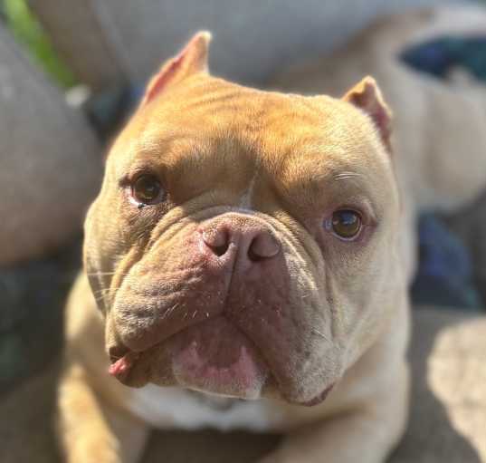Photo of Buttah