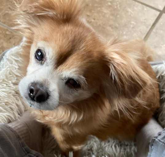 Photo of Isabella