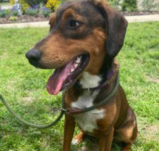 Photo of Shelli