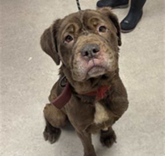 Photo of TRUFFLE