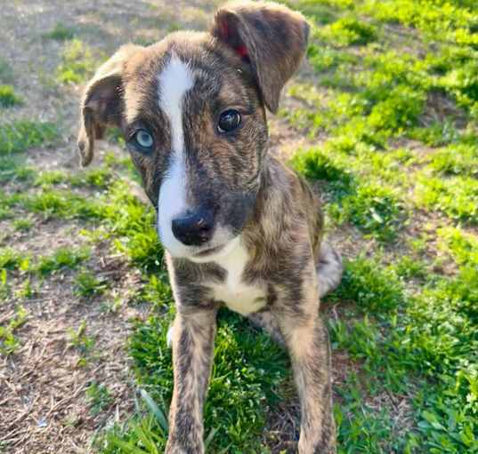Photo of Dora