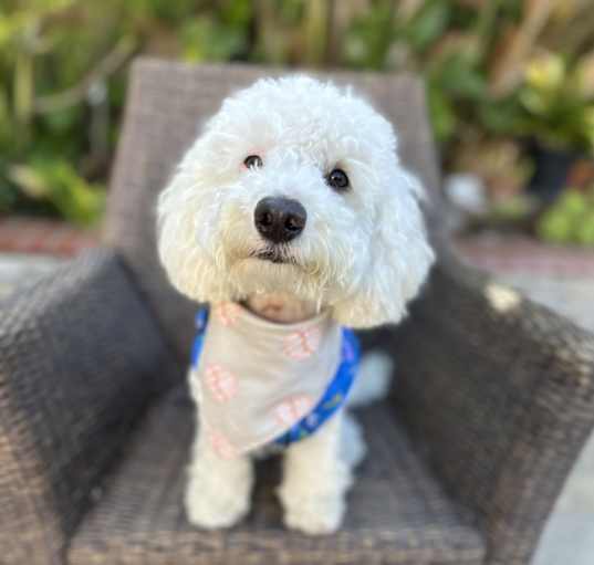 Photo of Yuki