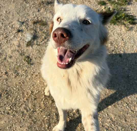 Photo of Pumpkin