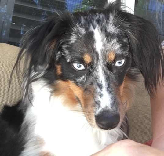 Photo of Sophie