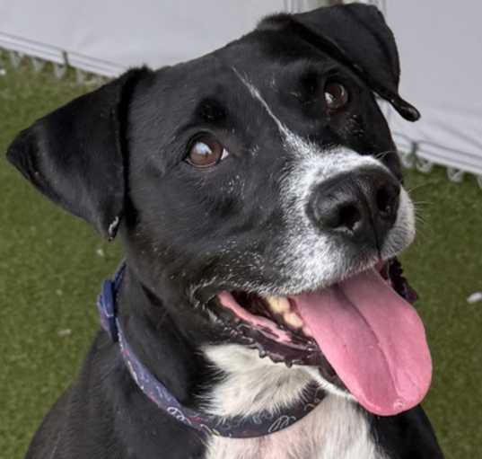 Photo of Cash