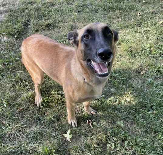 Photo of Charlie (girl)