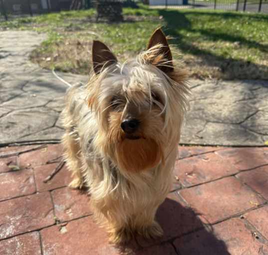 Photo of Reggie