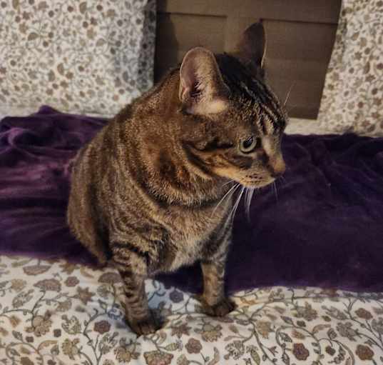 Photo of Luna