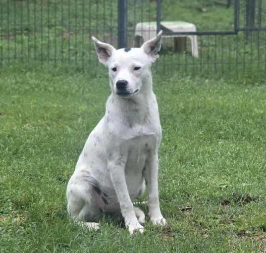Photo of Roxy
