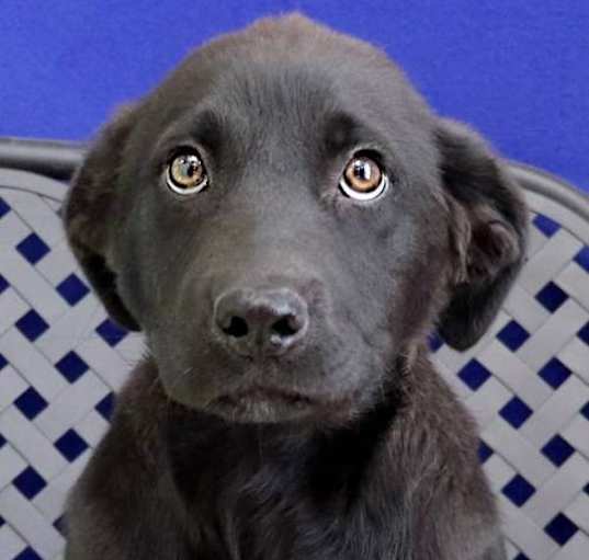 Photo of Finley