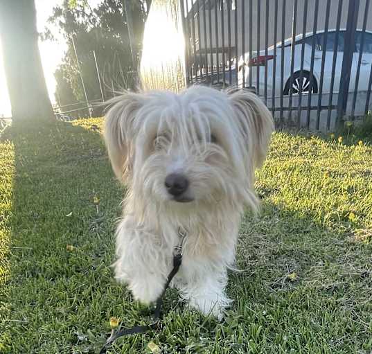 Photo of Keira