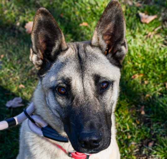 Photo of Sadie Mae