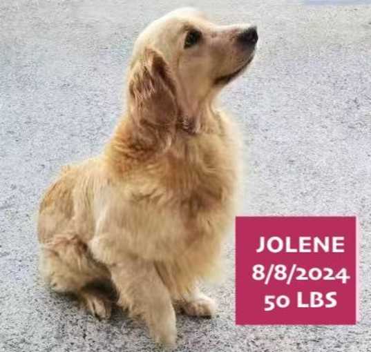 Photo of Jolene