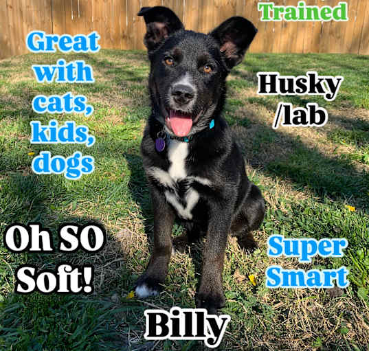 Photo of Billy
