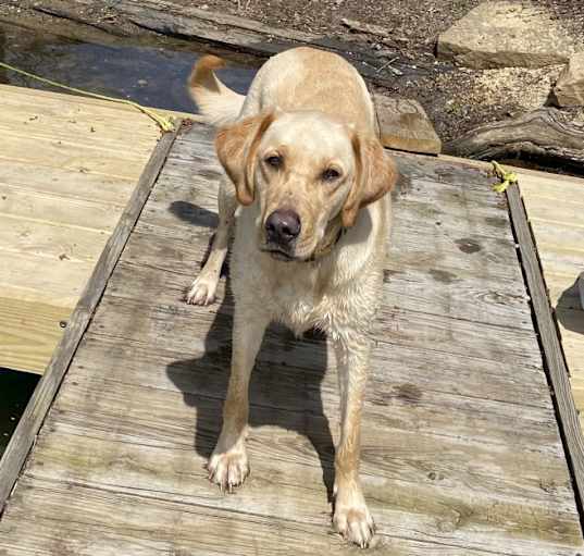 Photo of Max