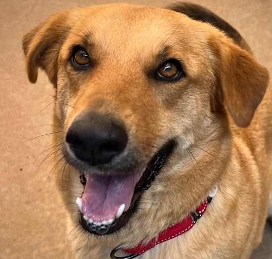 Photo of Zula