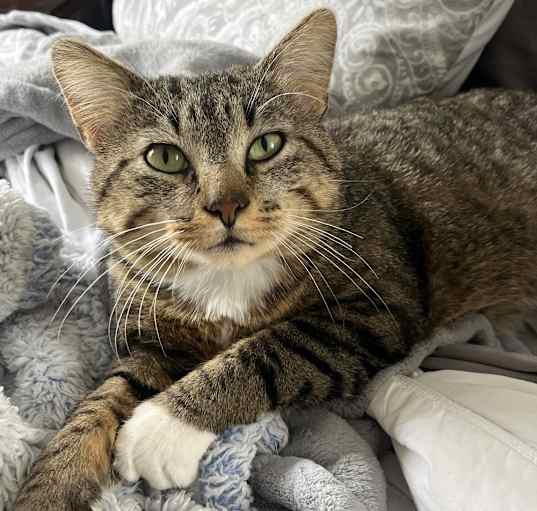 Photo of Rascal