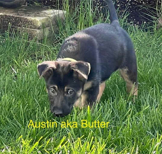 Photo of 25-01 Austin