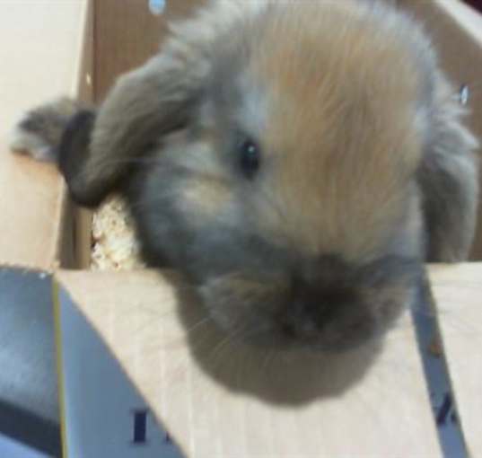 Photo of DEJA