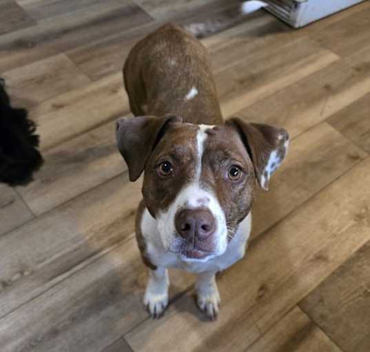 Photo of Molly D5549