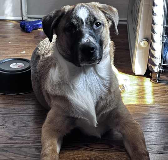 Photo of Quinnie Winnie