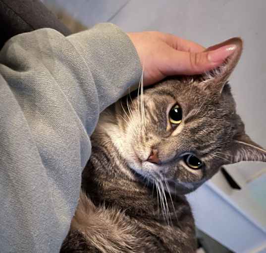 Photo of Blu
