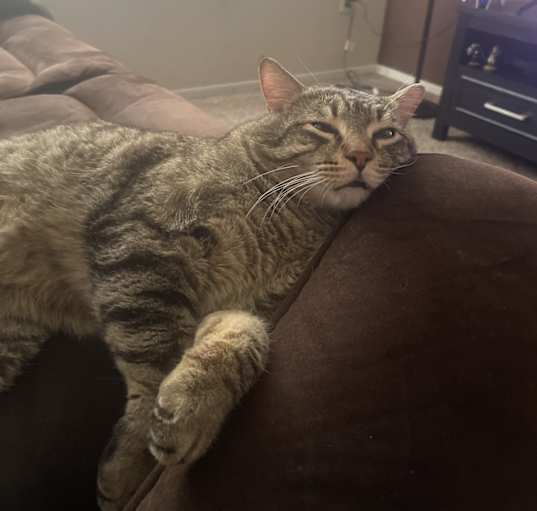 Photo of Timothy