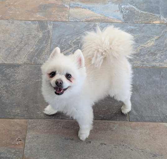 Photo of Lilly