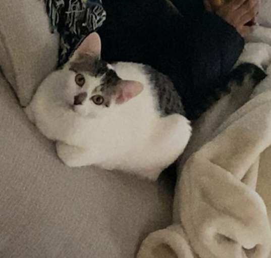 Photo of Izzy