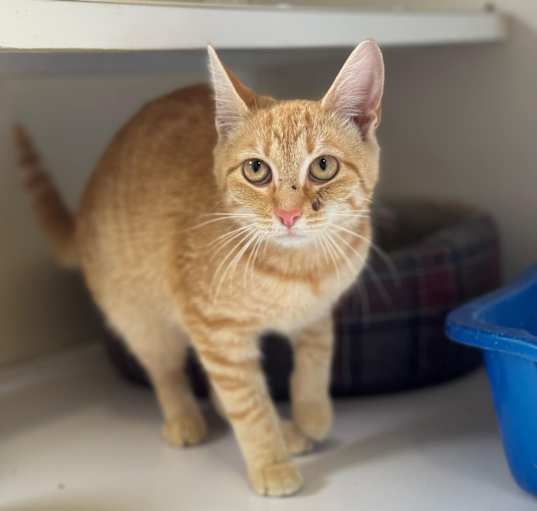 Photo of Sugar