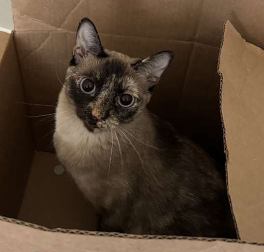 Photo of Yuki
