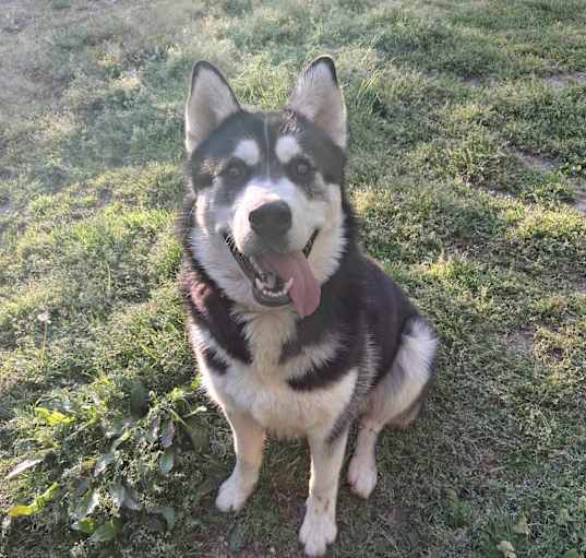 Photo of Kenai