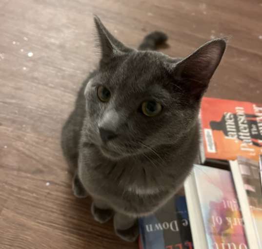 Photo of Smoky