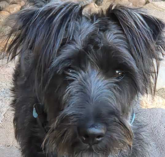 Photo of CARTER