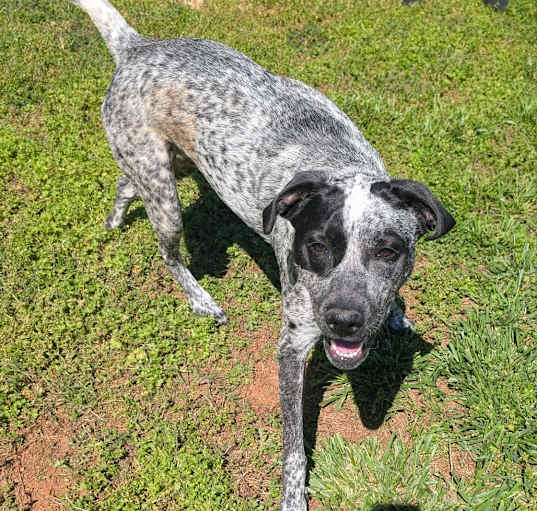 Photo of Krystal/Ellie Mae