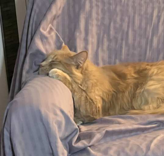 Photo of Lenny