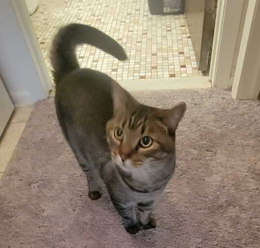 Photo of Chungus