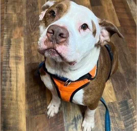 Photo of Trucker