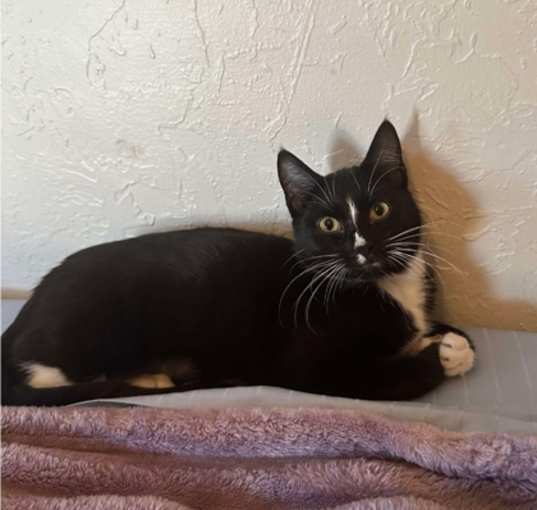 Photo of Birdie