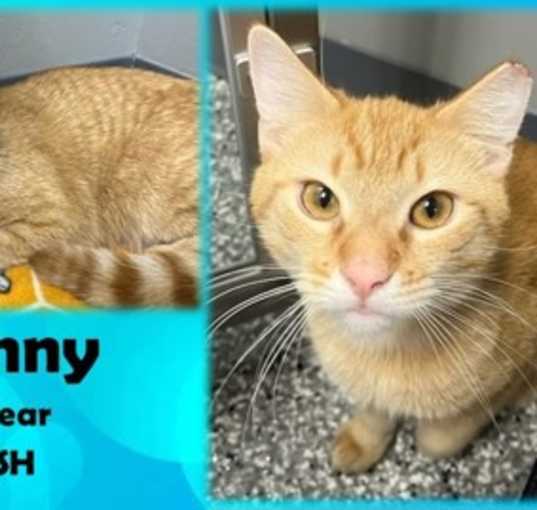 Photo of Lenny