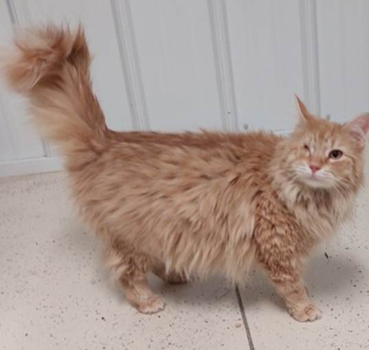 Photo of Willie