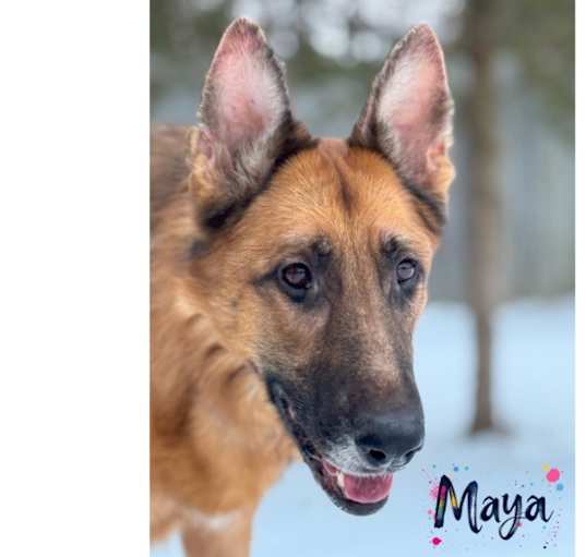 Photo of Maya
