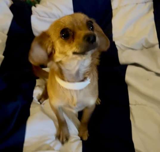 Photo of Chloe