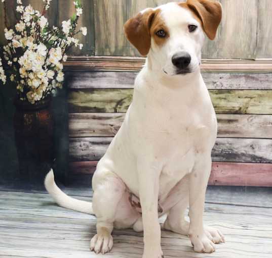 Photo of Arlo