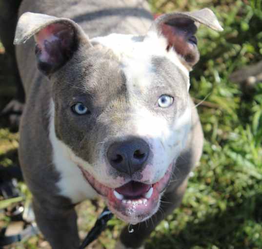 Photo of Oakland (Hazel)