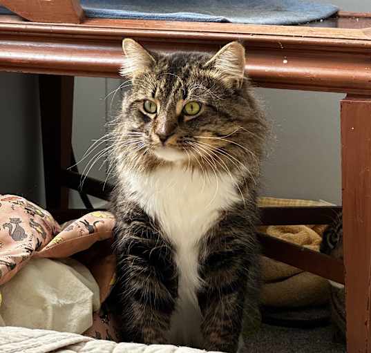 Photo of Mr. Pibb