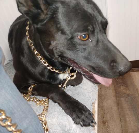 Photo of Zoro