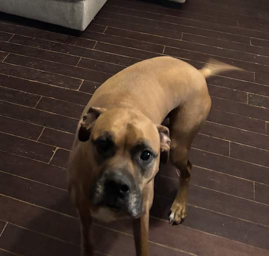 Photo of Allie