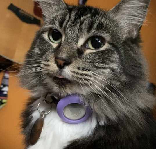 Photo of Delilah