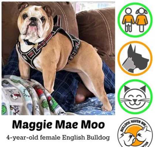 Photo of Maggie Mae Moo